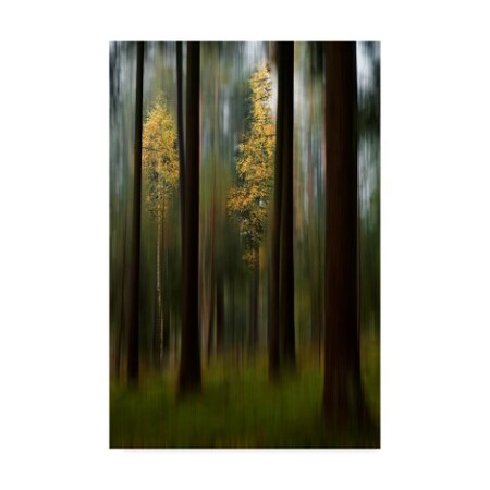 Bjorn Emanuelson 'Autumn Leaves Yellow' Canvas Art,22x32